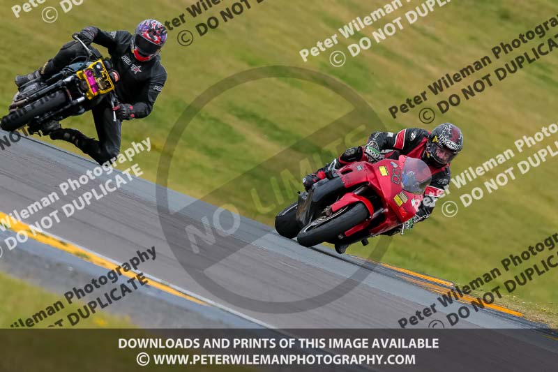 PJ Motorsport 2019;anglesey no limits trackday;anglesey photographs;anglesey trackday photographs;enduro digital images;event digital images;eventdigitalimages;no limits trackdays;peter wileman photography;racing digital images;trac mon;trackday digital images;trackday photos;ty croes